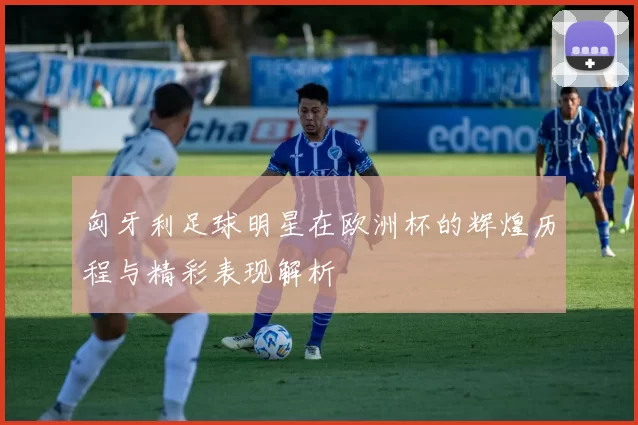 匈牙利足球明星在欧洲杯的辉煌历程与精彩表现解析