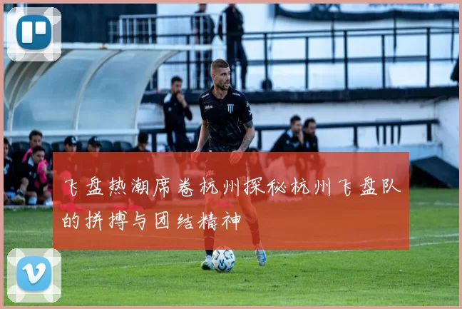 飞盘热潮席卷杭州探秘杭州飞盘队的拼搏与团结精神