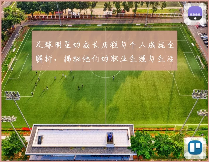 足球明星的成长历程与个人成就全解析，揭秘他们的职业生涯与生活点滴