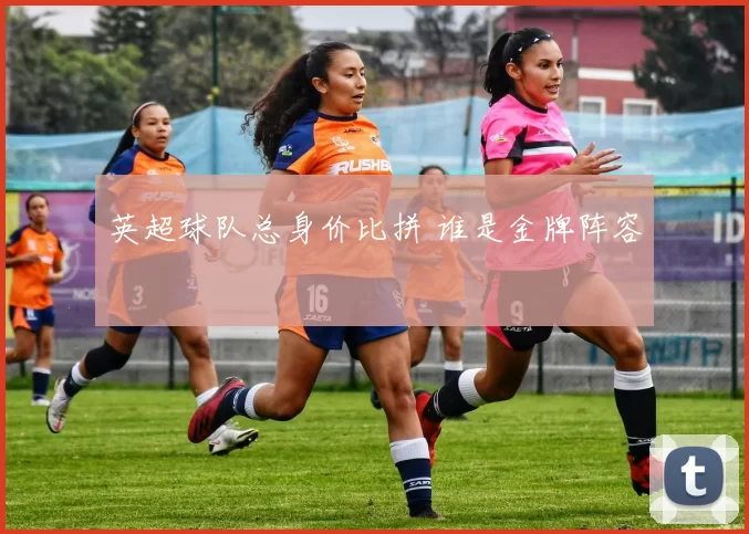 英超球队总身价比拼 谁是金牌阵容