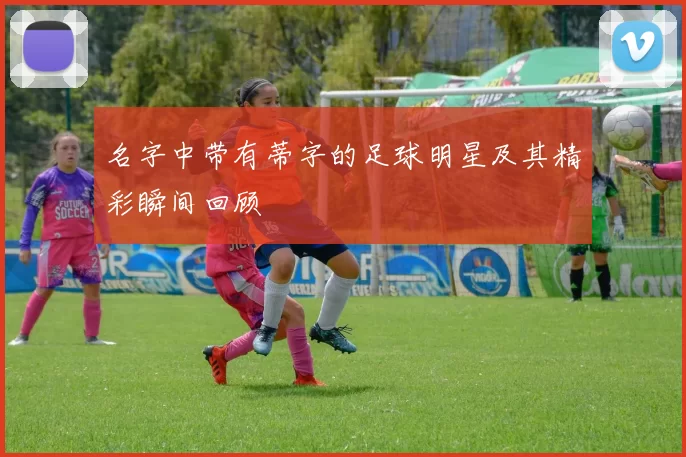 名字中带有蒂字的足球明星及其精彩瞬间回顾