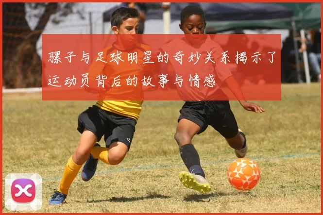 骡子与足球明星的奇妙关系揭示了运动员背后的故事与情感
