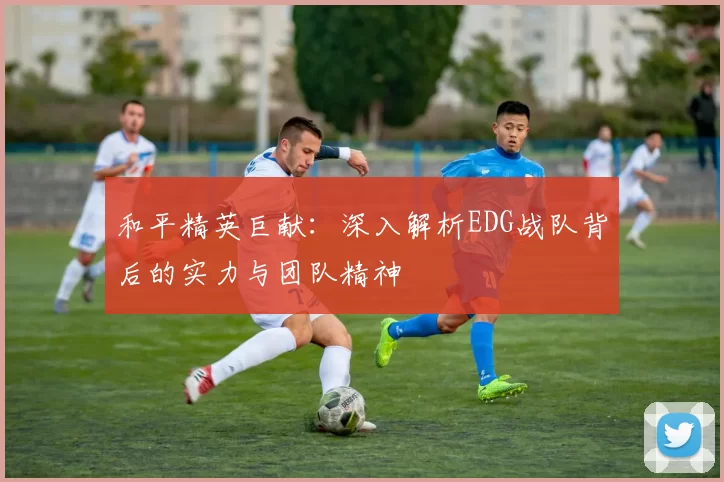 和平精英巨献：深入解析EDG战队背后的实力与团队精神