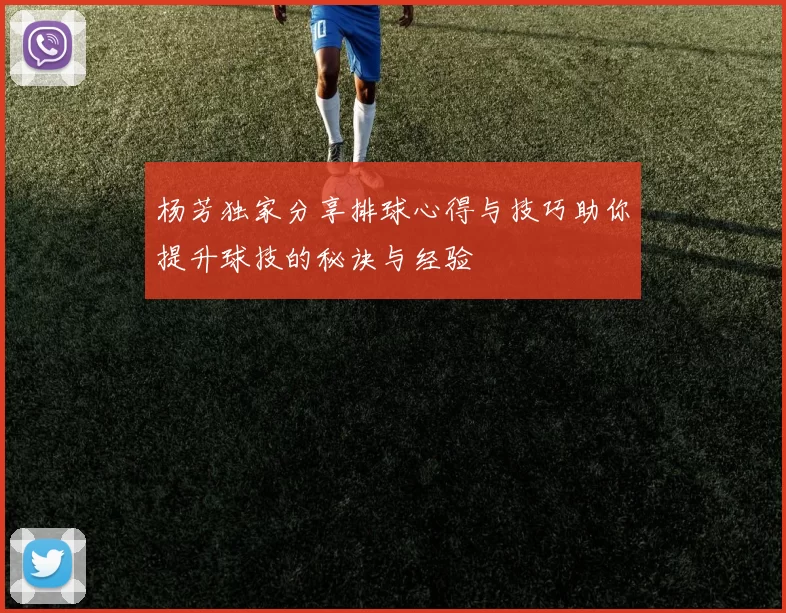 杨芳独家分享排球心得与技巧助你提升球技的秘诀与经验