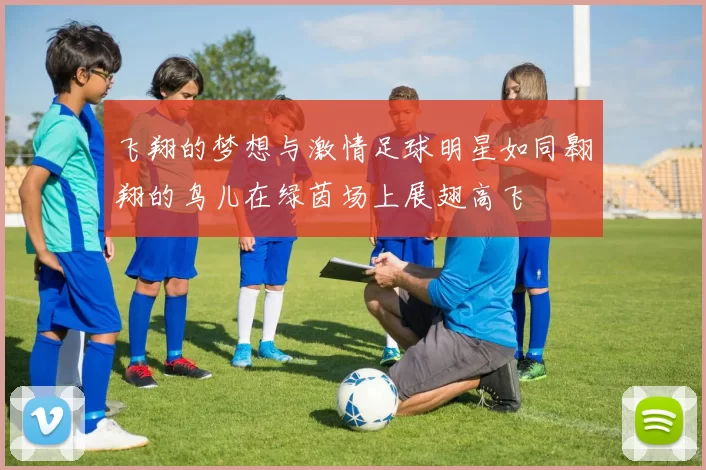 飞翔的梦想与激情足球明星如同翱翔的鸟儿在绿茵场上展翅高飞