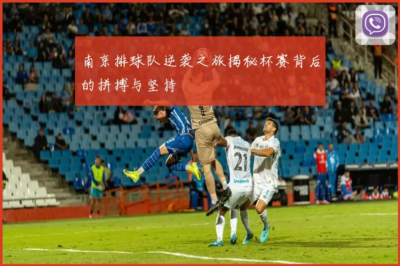 南京排球队逆袭之旅揭秘杯赛背后的拼搏与坚持