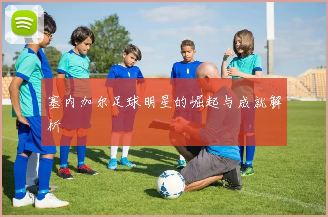 塞内加尔足球明星的崛起与成就解析