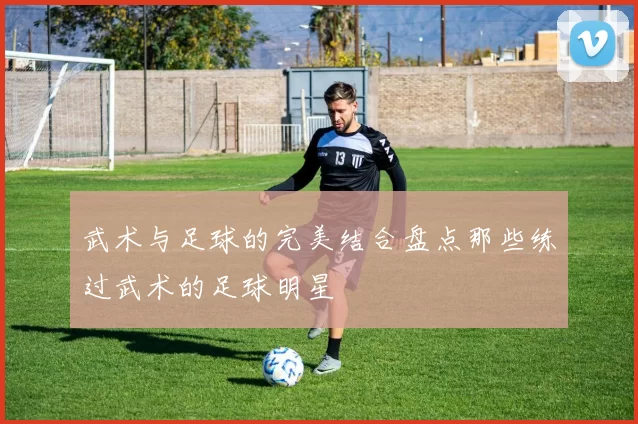 武术与足球的完美结合盘点那些练过武术的足球明星