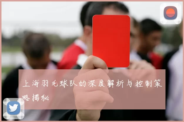 上海羽毛球队的深度解析与控制策略揭秘