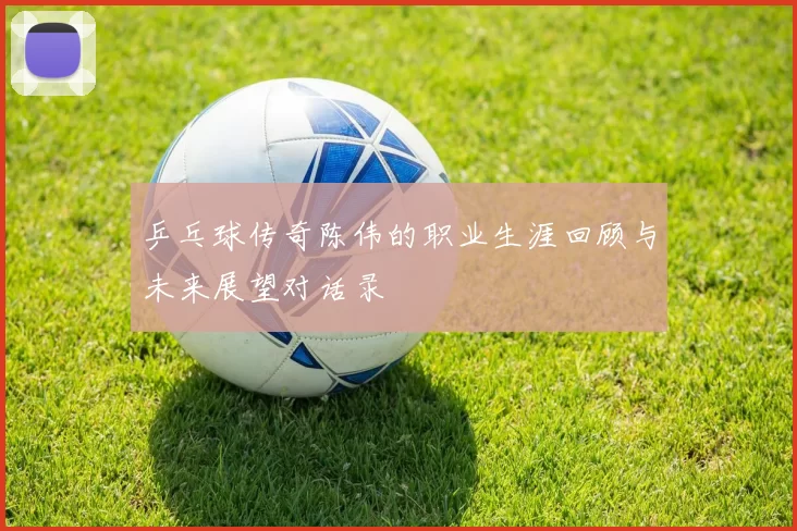 乒乓球传奇陈伟的职业生涯回顾与未来展望对话录