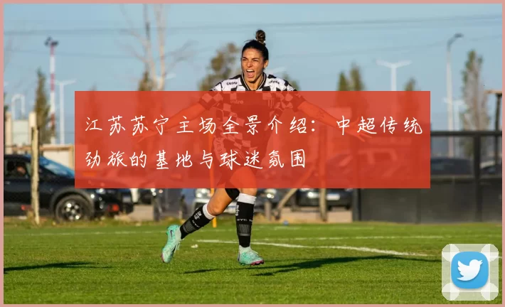 江苏苏宁主场全景介绍：中超传统劲旅的基地与球迷氛围