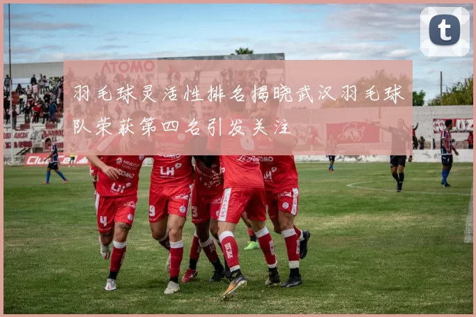 羽毛球灵活性排名揭晓武汉羽毛球队荣获第四名引发关注