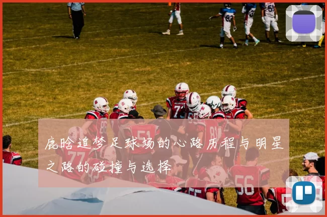 鹿晗追梦足球场的心路历程与明星之路的碰撞与选择