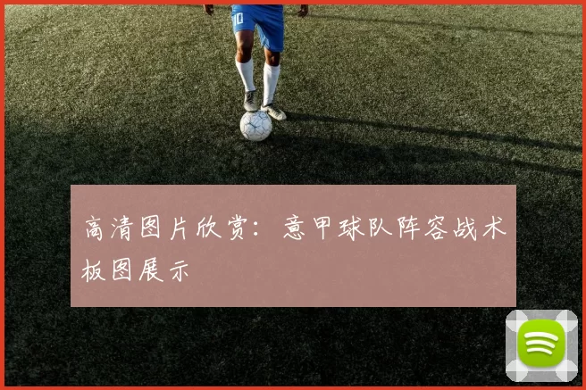 高清图片欣赏：意甲球队阵容战术板图展示