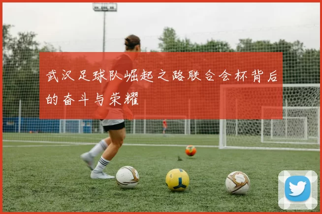 武汉足球队崛起之路联合会杯背后的奋斗与荣耀