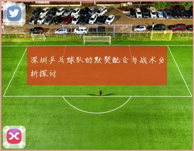 深圳乒乓球队的默契配合与战术分析探讨