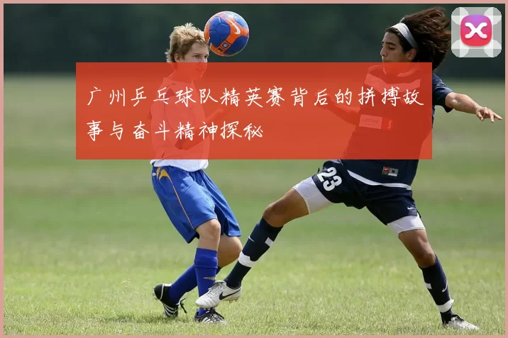 广州乒乓球队精英赛背后的拼搏故事与奋斗精神探秘