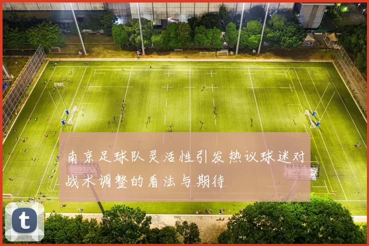 南京足球队灵活性引发热议球迷对战术调整的看法与期待