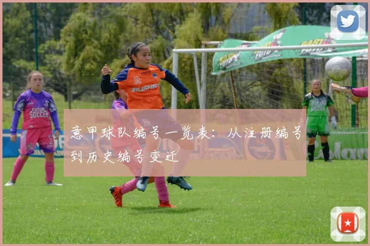 意甲球队编号一览表：从注册编号到历史编号变迁
