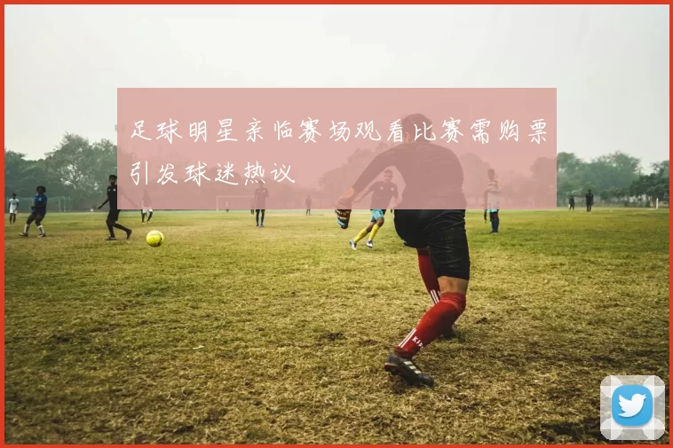 足球明星亲临赛场观看比赛需购票引发球迷热议