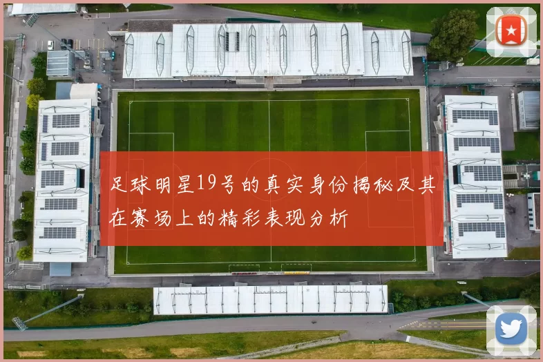 足球明星19号的真实身份揭秘及其在赛场上的精彩表现分析