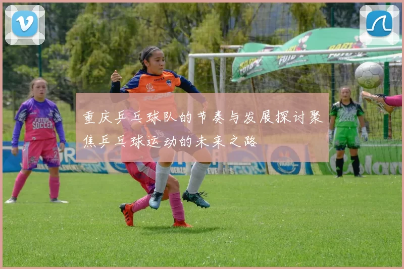 重庆乒乓球队的节奏与发展探讨聚焦乒乓球运动的未来之路