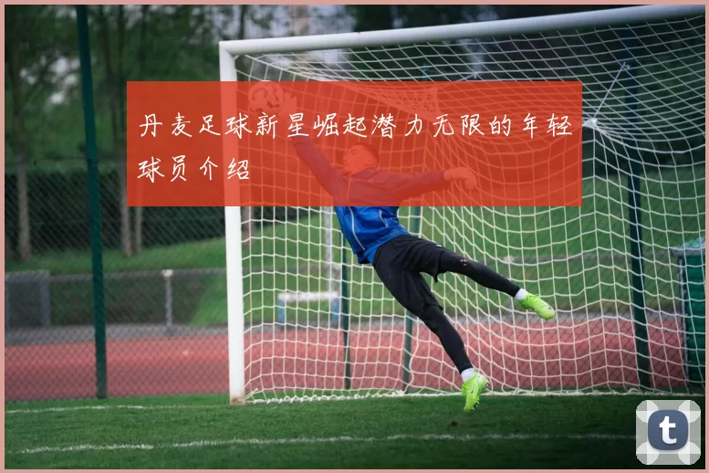 丹麦足球新星崛起潜力无限的年轻球员介绍