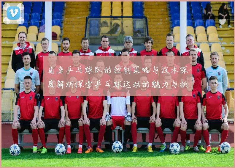 南京乒乓球队的控制策略与技术深度解析探索乒乓球运动的魅力与挑战