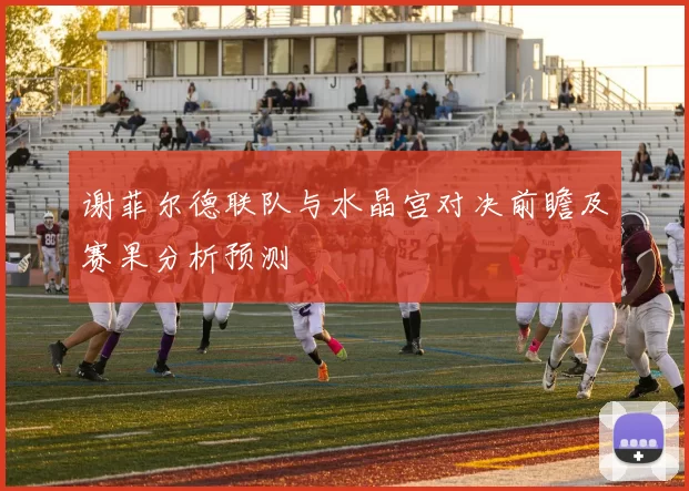 谢菲尔德联队与水晶宫对决前瞻及赛果分析预测