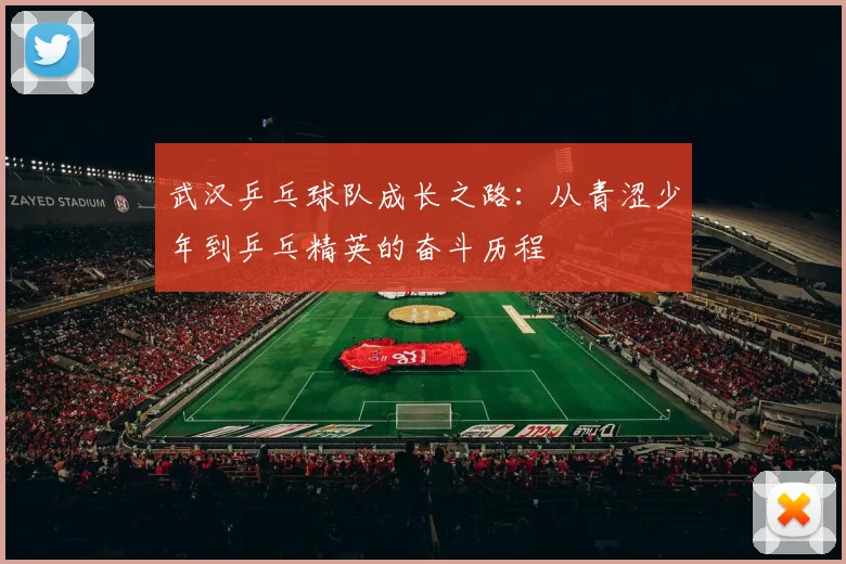 武汉乒乓球队成长之路：从青涩少年到乒乓精英的奋斗历程