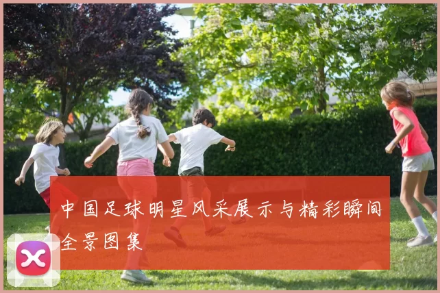 中国足球明星风采展示与精彩瞬间全景图集