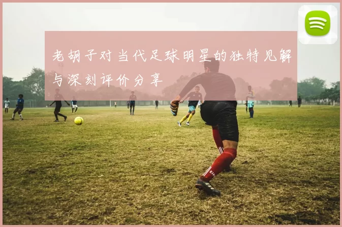 老胡子对当代足球明星的独特见解与深刻评价分享