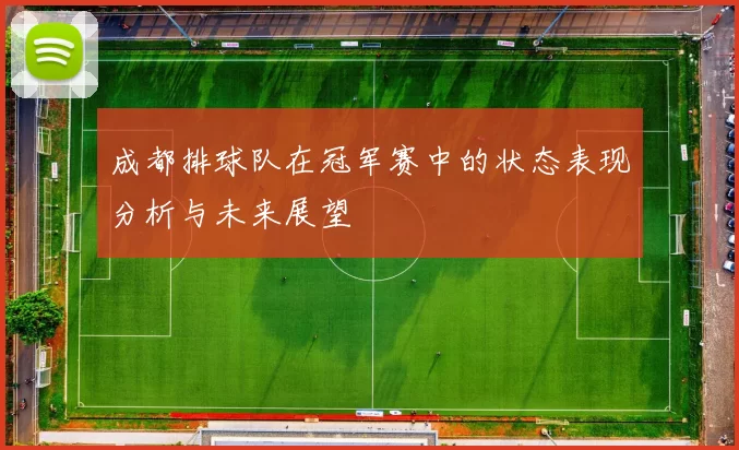 成都排球队在冠军赛中的状态表现分析与未来展望