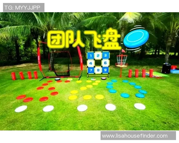 西安飞盘队团队协作引发热议背后的争议与思考