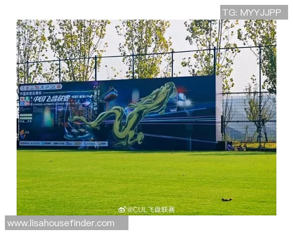 重庆飞盘队中路突破分析与战术得失探讨