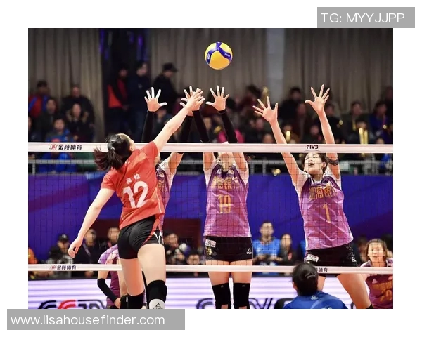 上海排球队比赛经验分享与技术分析聚焦排球运动发展新趋势