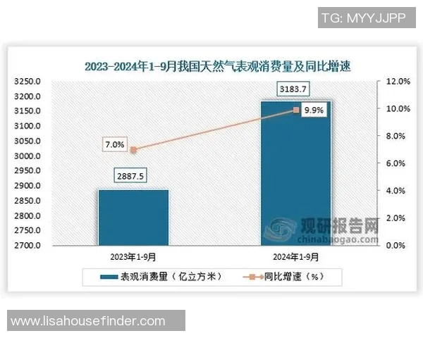 数据分析在液化天然气行业中的个人能力提升与表现研究